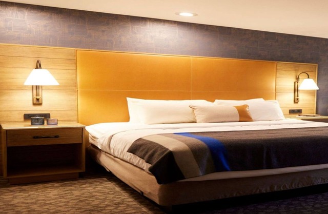 Connect with Nature | 1 King + ADA rated