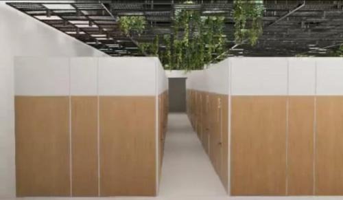 Cop 30 quartos adaptados