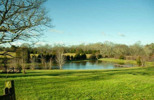 Copper Sky Farm - The Ultimate Country Retreat!