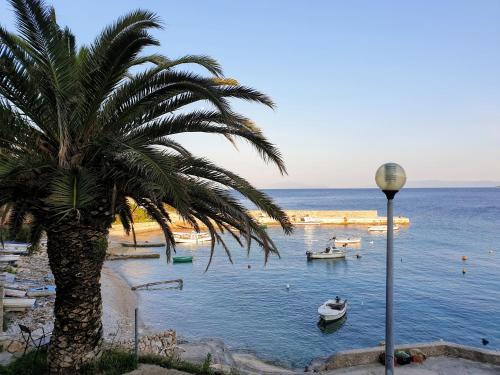 Corinna Zavala Resort