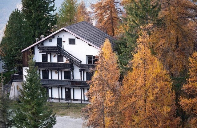 Corner of the Woods - Two-room apartment in Pila