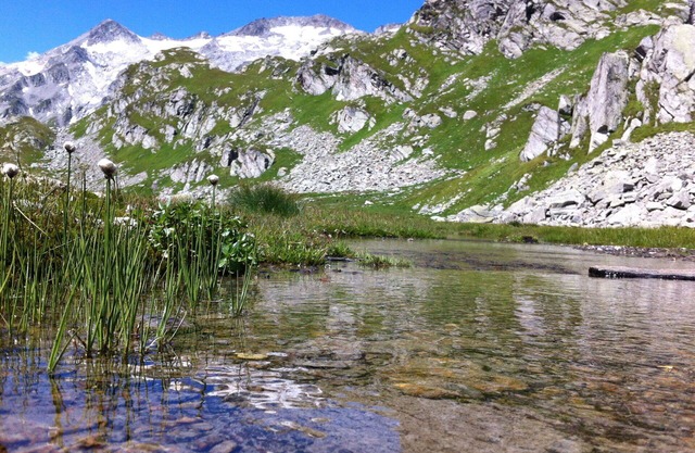 Cosy apartment for 4 people with WIFI, TV, patio and pets allowed