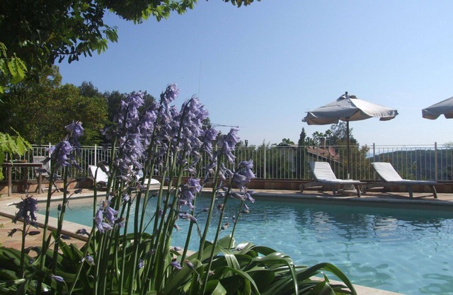 Cosy apartment for 4 guests with pool, WIFI, TV and patio
