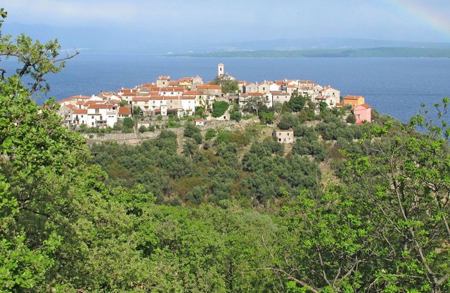 Cosy apartment for 5 guests with WIFI, A/C, TV, terrace, pets allowed and parking