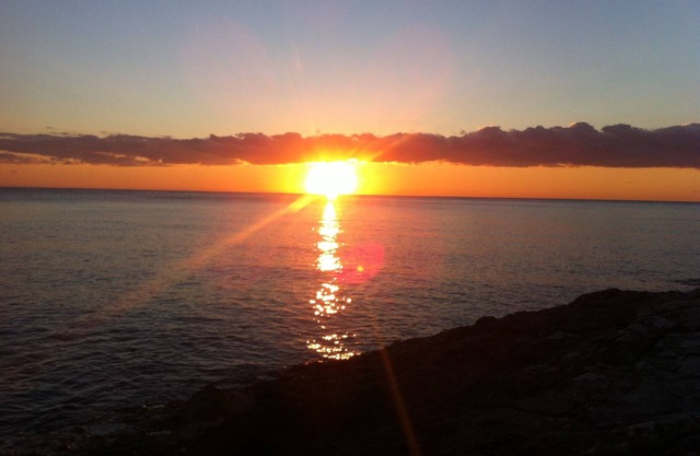 Cosy & Quiet Studio With Balcony And Garden View - Dunja Apartments For Rent