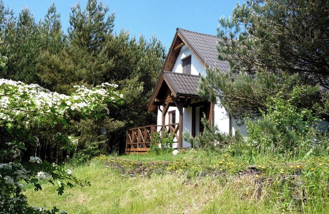 Cottage in a Pine Forest - In quiet greenery