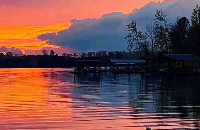 Cottage on the Lake! Cozy, Lakefront, 4BR house near Atlanta @ Allatoona Lake