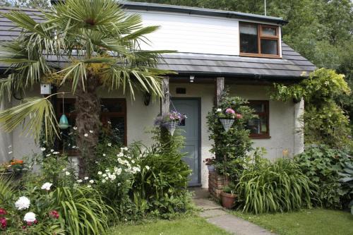 Cottage with beautiful views - dog friendly