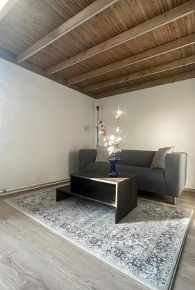 Cotton&Loft - Brno City Center Apartment