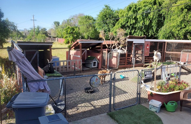 Country 2-bedroom bed & breakfast/ebikes in delightful Livermore Wine Country