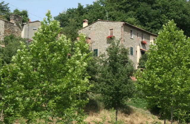 Country Cottage / Gite - Capolona