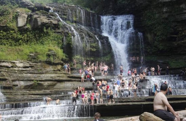 Country Creek side Cottage; True Tennessee Easy Living Close to Everything $57