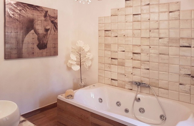 COUNTRY HOUSE WITH JACUZZI LA VIRIÑUELA