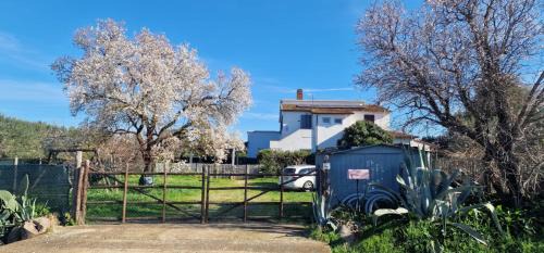 Country Road Take Me Home