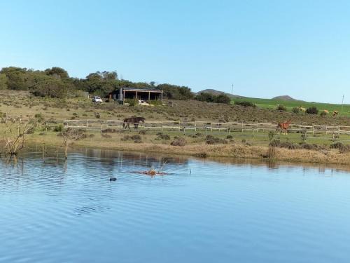 Countryside Container Home