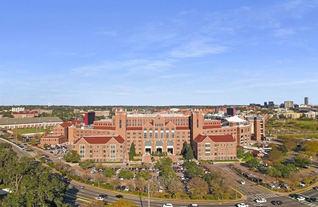 Cozy 1/1 Walking distance to Doak Campbell Stadium and campus