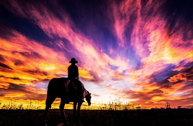 Cozy 1BRSuite w/KingBed + 2x sofa beds in Cochrane,Alberta