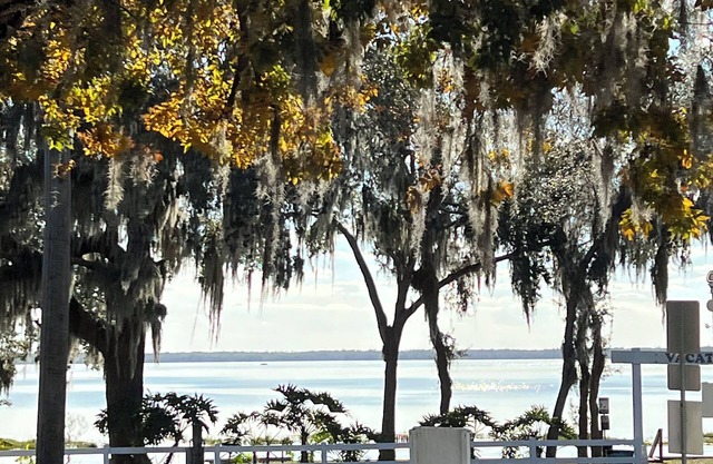 Cozy 2-bedroom Loft- Pool, Pickle Ball, B-ball, Theme Parks and More Clermont