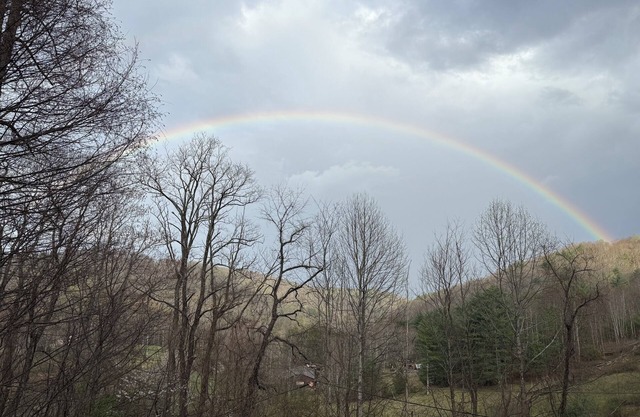 Cozy 3-bedroom cabin with AC, WiFi near Blowing Rock