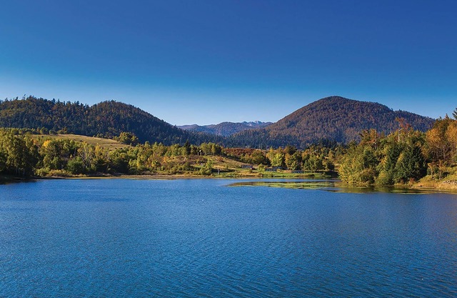 Cozy and rustic vacation apartment in a rustic wooden house with very spacious natural plot.