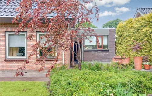 Cozy Apartment In Surhuisterveen