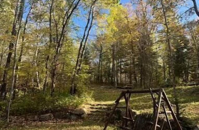 Cozy Cabin in Backus, MN