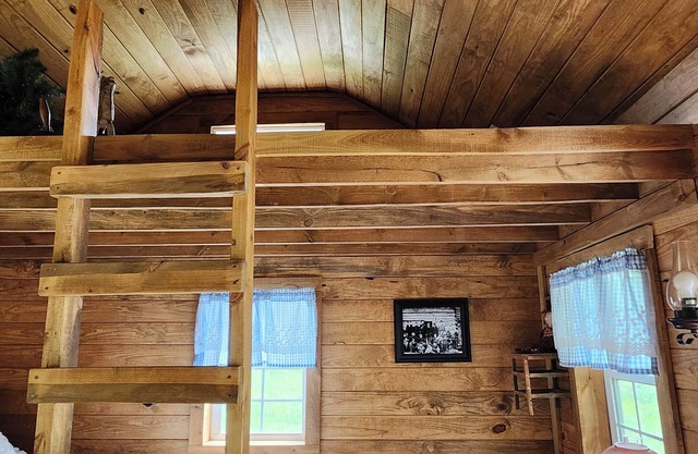 Cozy cabin in Sneedville Tennessee heart of the Appalachian Mountains.