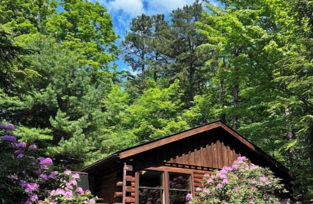 Cozy cabin with Mohonk Preserve access, wifi, AC, and adjacent studio building