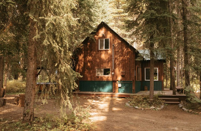 Cozy, Classic McCall Cabin Tucked in the Woods Just Off Warren Wagon w/Hot Tub.