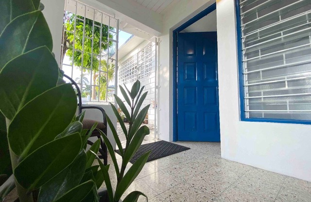 Cozy, cool , central one bedroom flat in Uptown Kingston