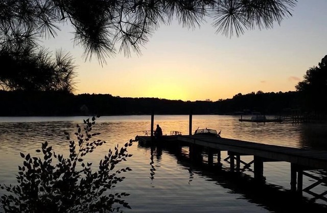 Cozy Cottage: 180’ Shoreline, Panoramic View of Cove & Lake; Pet Friendly, WiFi.