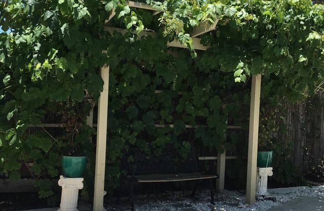 Cozy House, Huge Backyard, the heart of Temecula