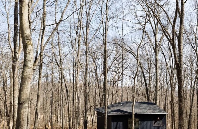 Cozy Modern Cottage in the Trees - Hocking Hills