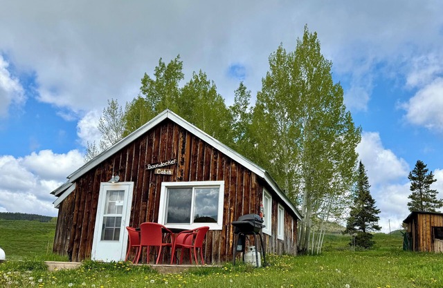 Cozy Mountain Cabin Near Steamboat - Sleeps 8+, Hot Tub Access, Pet-Friendly