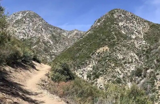 Cozy mountain view 3 bed/2bath with 2 king beds!