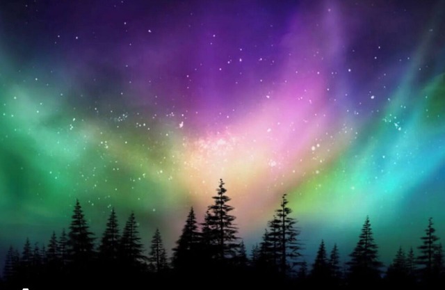 Cozy northern Wisconsin home. Located in the heart of recreation! UTV, ORV.