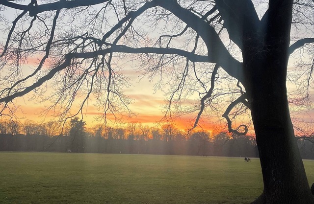Cozy old apartment at the Schlösschen