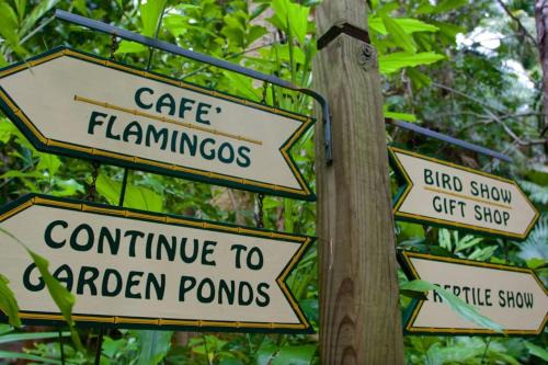 Cozy PVT Rm in Sunny Sarasota 1