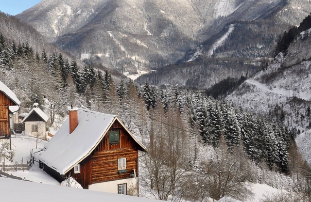 Cozy rustic vacation hut Upper Austria Ennstaler Kalkalpen up to 6 pers., fenced