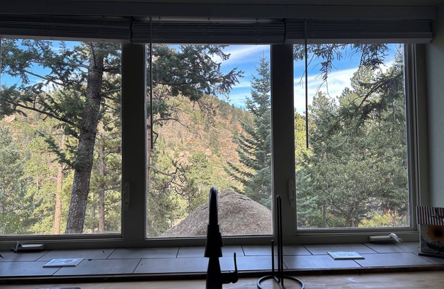 Cozy studio cabin among the trees in Green Mountain Falls!