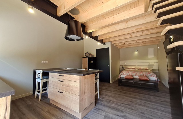 Cozy Studio with Mezzanine, Private Courtyard, Wifi, Near Owners' Home in Renovated Barn