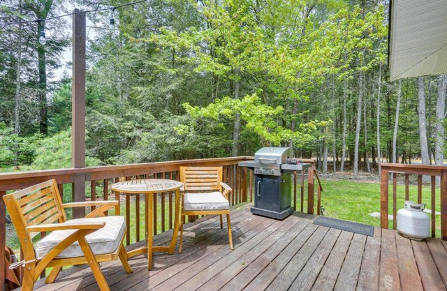 Cozy Swan Lake Apt with Grill and Private Yard