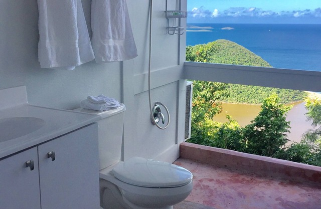 Creme of the Carib: 7bd 7bathnhigh design meets high altitude Tortola. who's in?