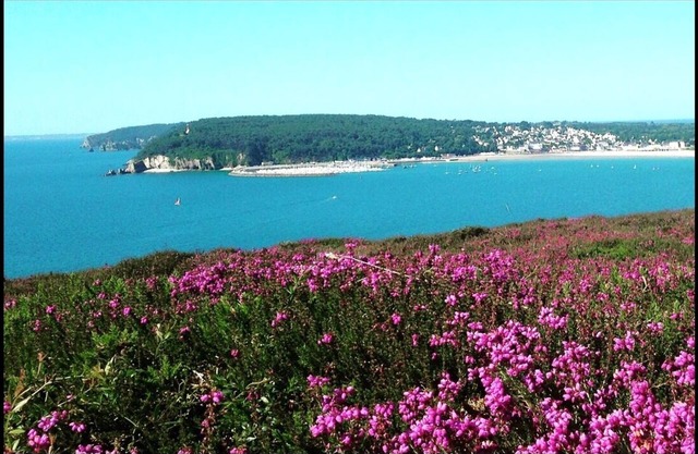 Crozon Morgat: House /Villa - CROZONHouse with garden