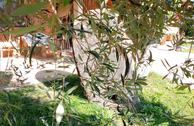 CuccuruAio' B&B