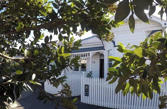 Cute and quirky, close to the action Napier home