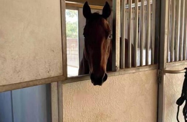 Cute, barn studio at Rancho De Amor.