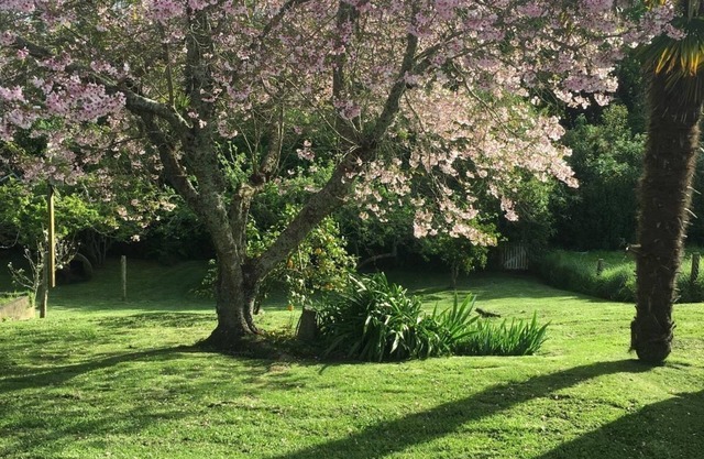 Cute, Cottagey and Central! Spacious, lovely indoor outdoor flow to great garden