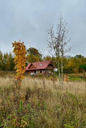 Czapla i Żuraw