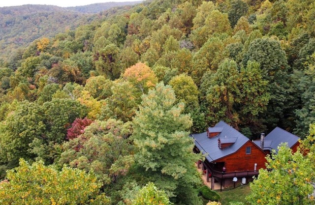 Daniels Mountain Lodge, large cabin by Shenandoah